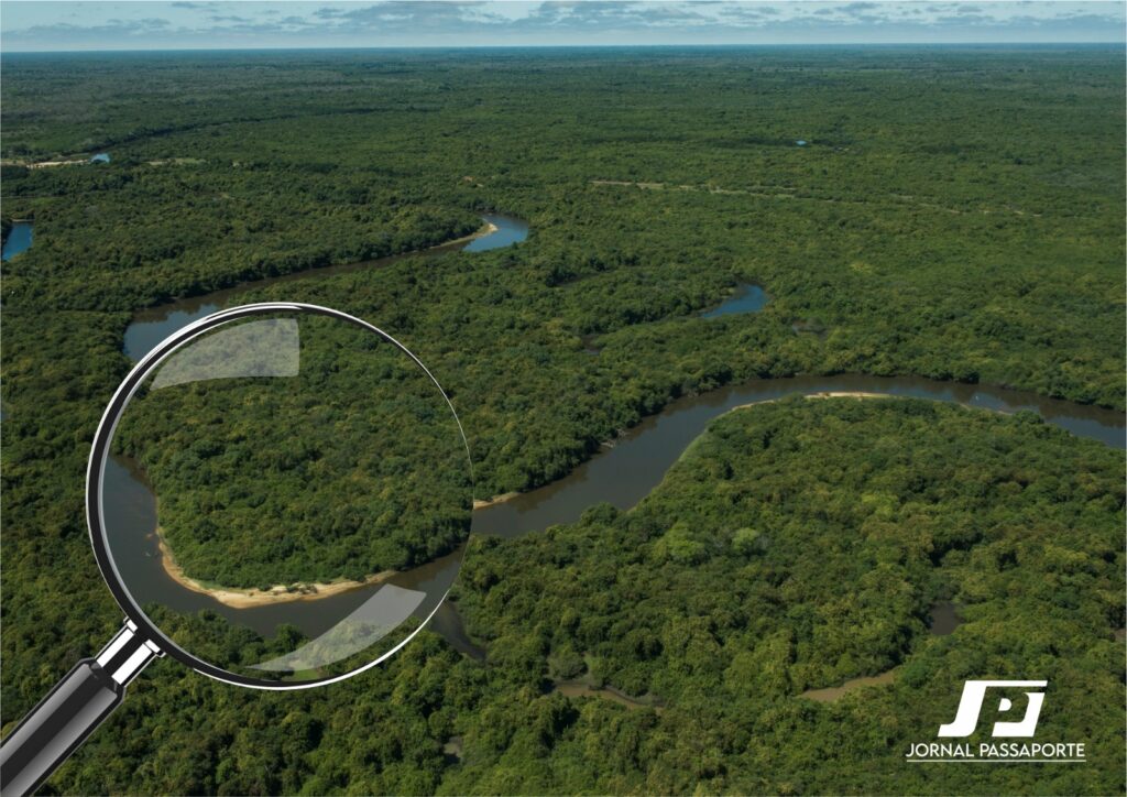 Será criado no Pará o Comitê de “Transparência Ambiental da Amazônia”
