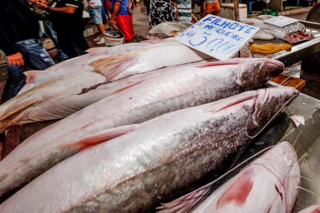 Consumo de pescado no Pará é quase quatro vezes maior que a média brasileira