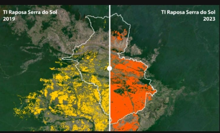 Fogo na Terra Indígena Raposa Serra do Sol aumentou 157% em 2023