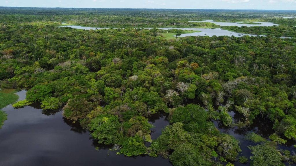 Colapso da principal corrente do Atlântico pode representar o fim da Amazônia, alerta estudo