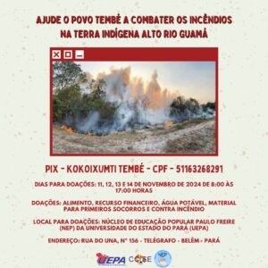 Povo Tembé pede ajuda humanitária para enfrentar incêndios na Terra Indígena Alto Rio Guamá