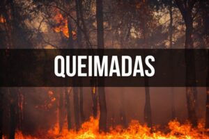 MPF cobra medidas para reforço urgente no combate a megaincêndios no Pará