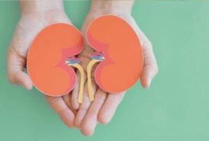 Salve seus rins: como prevenir e controlar a doença renal crônica