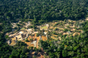 Destruição pelo garimpo ameaça Terra Indígena Sete de Setembro